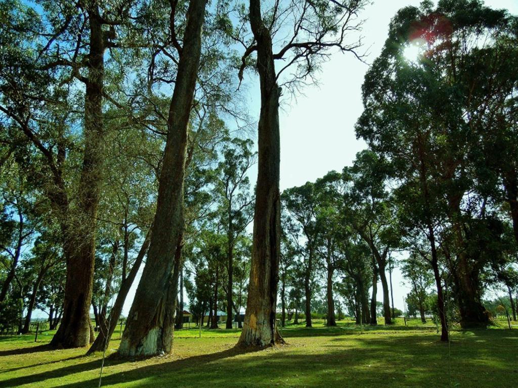 Inn The Tuarts Guest Lodge Busselton Accommodation - Adults Only Екстер'єр фото